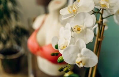 Blume im Fokus vor einem weiblichen styropor Torso